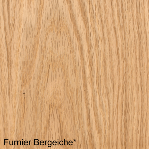 Bergeiche Mustertafel für Zimmertüren & Türzargen Furnieroberfläche